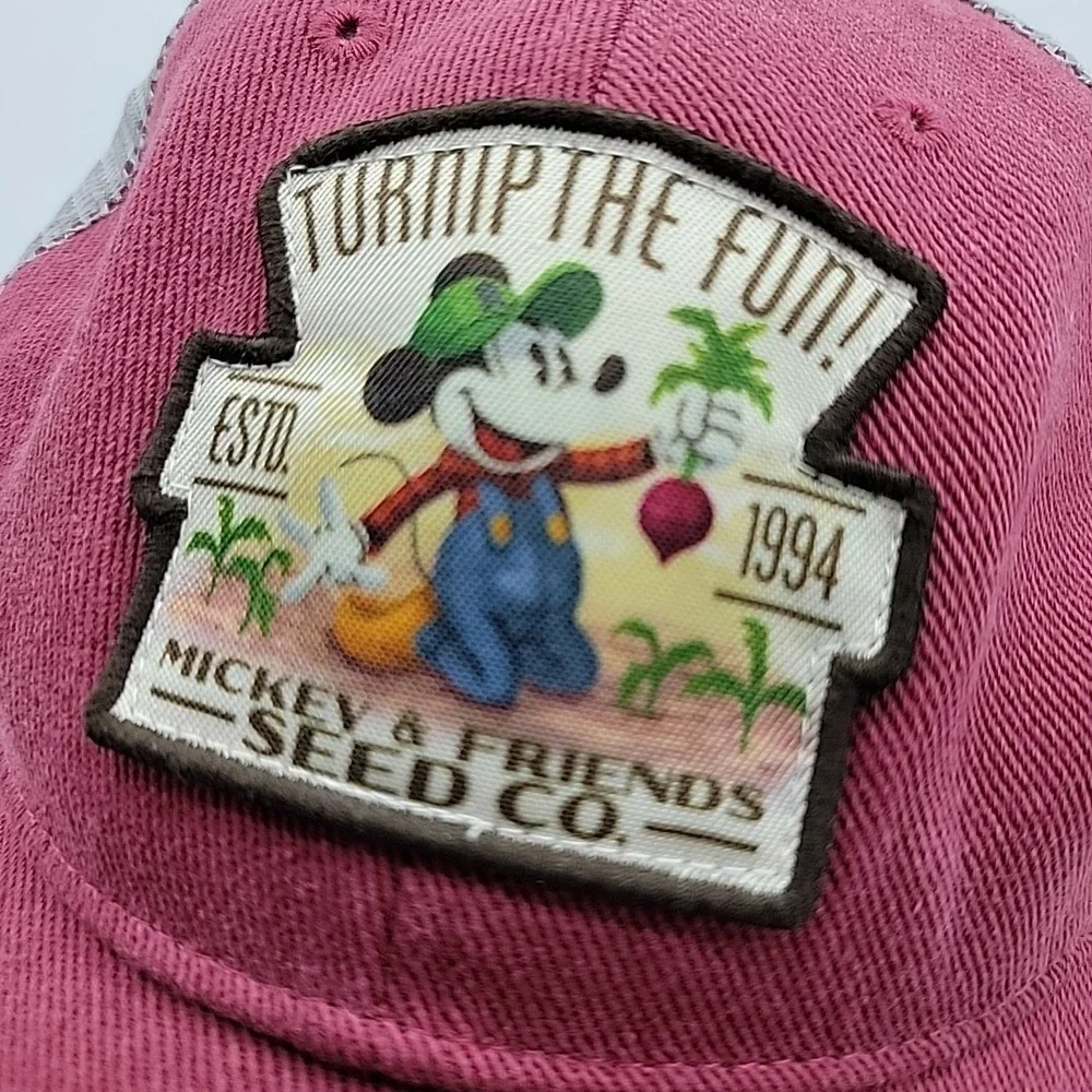 Disney parks mickey